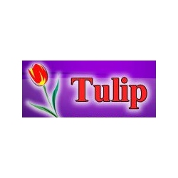 FIRMA HANDLOWA TULIP - KWIATY SZTUCZNE, UPOMINKI - HURTOWNIA BIAŁYSTOK PODLASIE