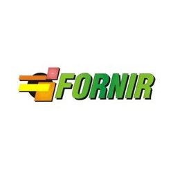 FORNIR